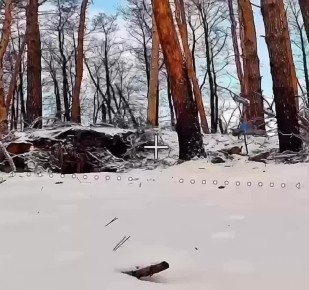 ������, ����� ������� ������������ � ����!