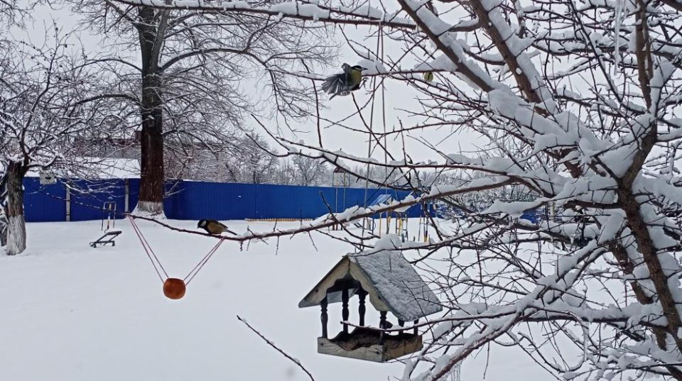 ������� ����� �������� ���������� ������� ������� � ��������-�������� �������� �� ����� ������ ���� ������