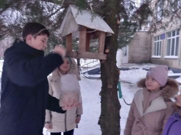 ����� ������� ���: ��������� ����������� ������������ � �������� ������