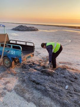 ������ �� ��������������� � ���������� ������� ������������