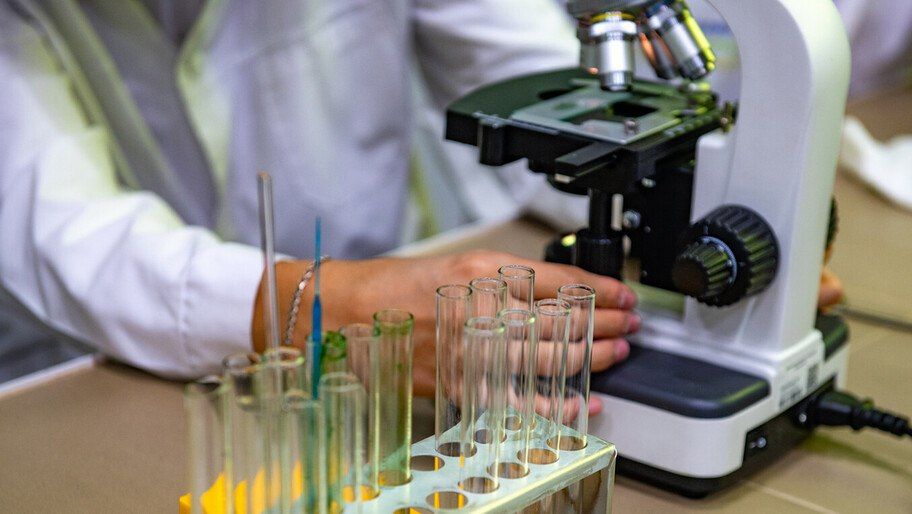 � ������ ������ ��������� ����������������� �������� ��� ������� ����