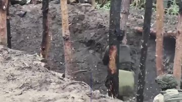 �������� ��������: ������������� � �����!. 1 000 000 �� ������ �����