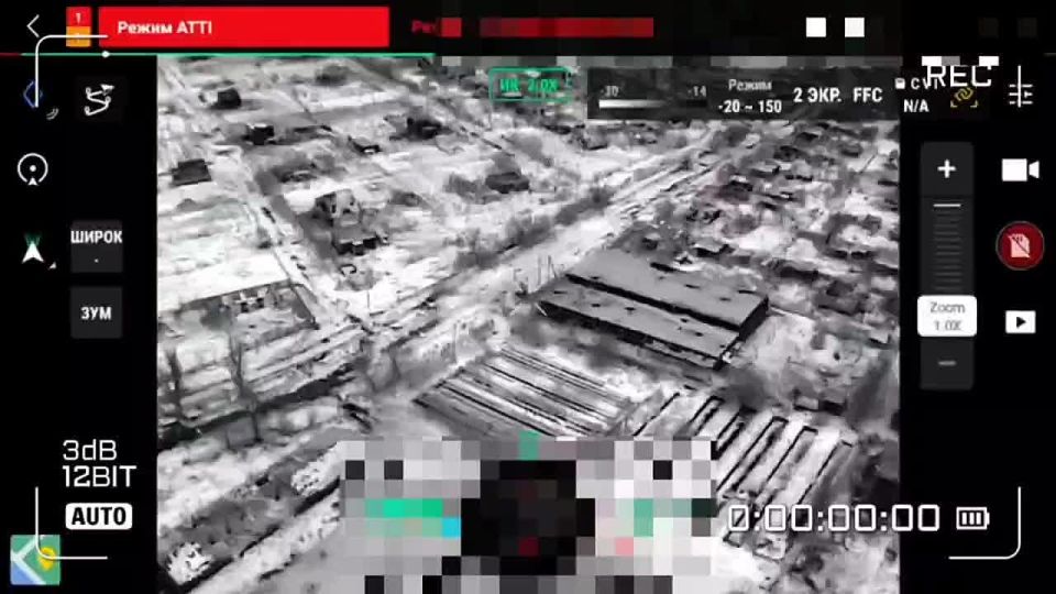 ���������� �����������. ����������� ��������������