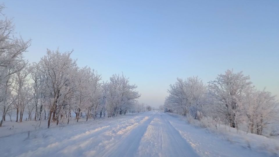 Таким белоснежным запомнится этот день