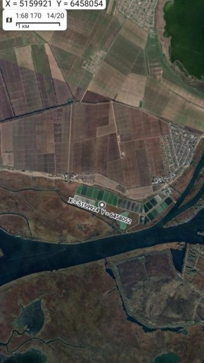 ���������� �����������. ����������� ��������������