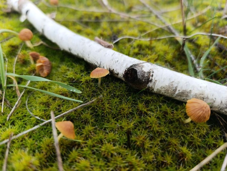 ������ ����, ������ � ����� ����������� ������!