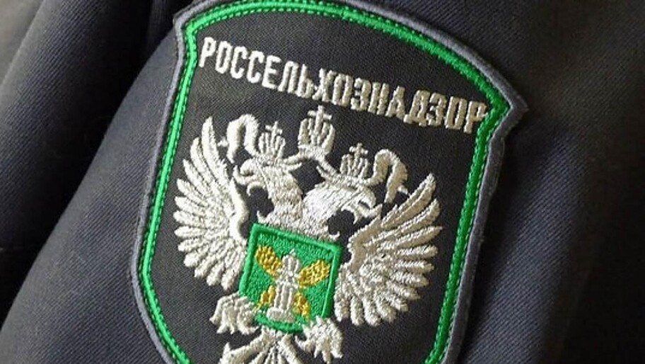 � ���������� ������� � 2025 ���� ������ 95 ��������������� ���������� ��������