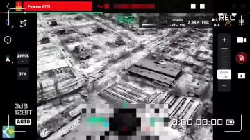 ���������� �����������. ����������� ��������������