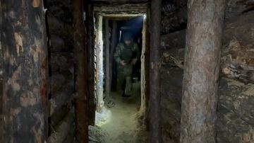 �� ������ ������ ������ ����������� ���������� ������� �������� �������� �� ���������� ���������� ������ ���������� ��������������