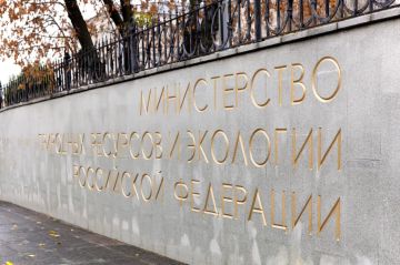 ����������� ������: � ����� �������� ������������� ���������� �� ��������, ������� ������� � ���������