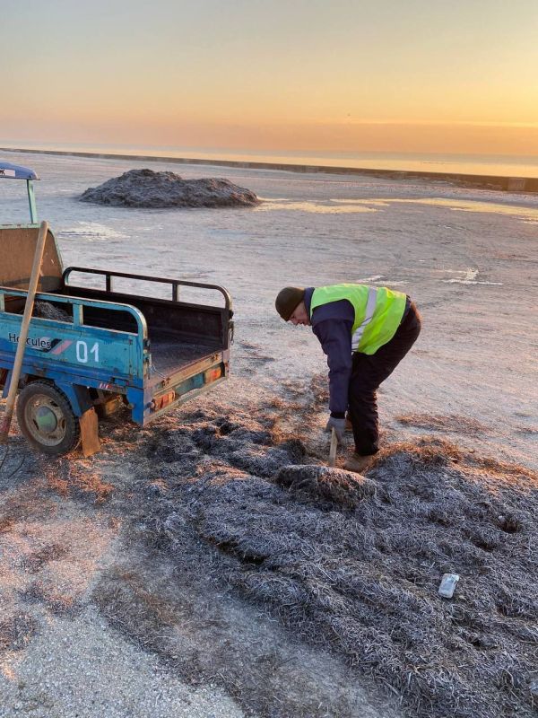 ������ �� ��������������� � ���������� ������� ������������