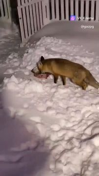 � ������������.... � �������� ������ ��������� ������� � ���� �������� �������� ������ �������� ������� � ��������� ������. ���� ��������� ����� �� ���, �� ������� ��� ��������. ���� ������ ����� �������, �� ���������