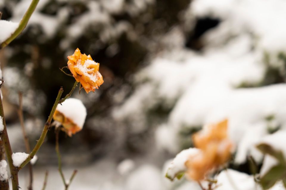 ������ �� ����� ����������� ������