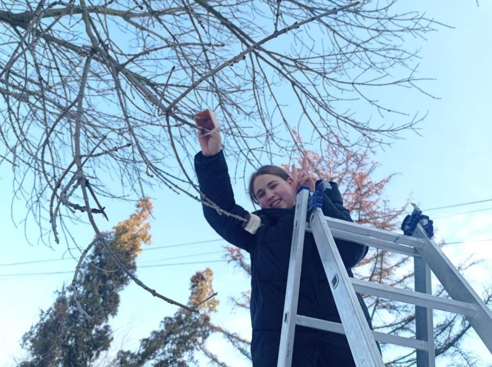 ���� ������� � ����������� ���������� ���������� � ������