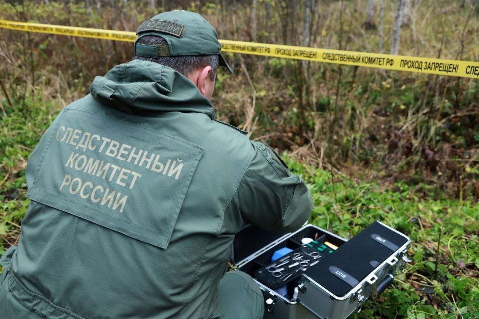 15 ������ � ���� ����������� ������������� �������� ���������� ���������