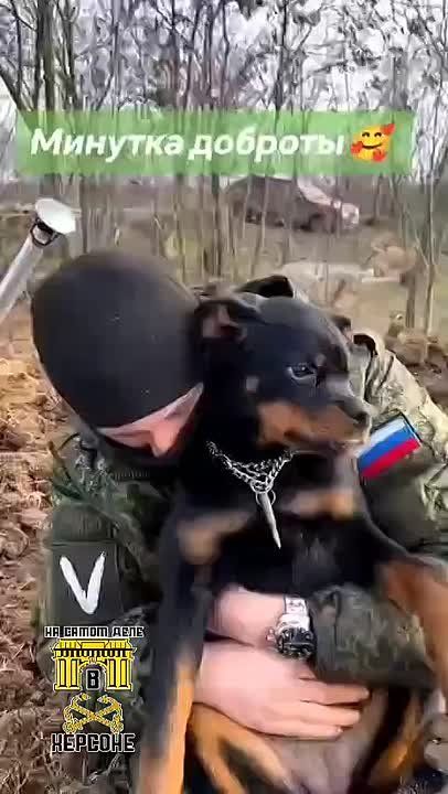 ������ �����������. ������ � ������ ����� �������� ���������, �� ����� ������ ����