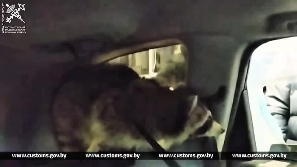 ���� ������ ����� �� ��� � ��������, ����������� � �������� ����������