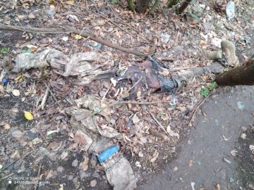 "����� �� �������". ��������-����� ���������� �������