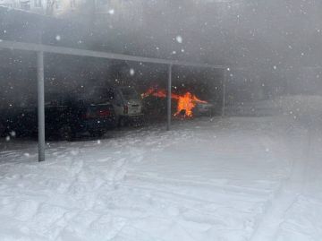 ������ ��������: �� �������� ����� ���������� ������� ������������ ������������� ��������� �� ������� ���