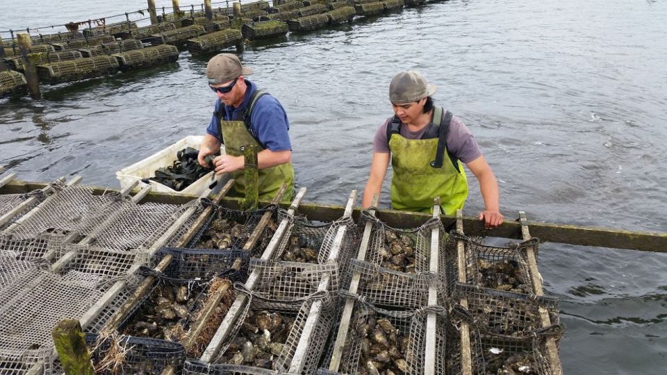 ��������� ����� ����� ��������� � �������� ����