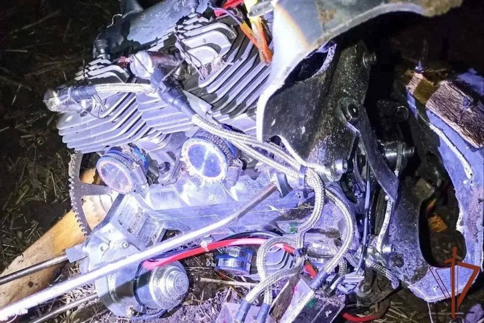 ����� � ���������� ������� ����� ���������� ������������� ����� ������ ��������� ������, � ������ 12 ����