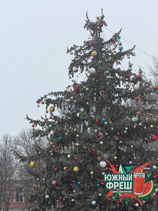 Снежная зима на Херсонщине: фото из Новотроицкого и Нижних Серогоз