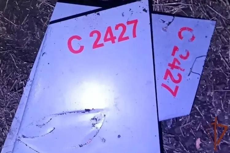 � ���������� ������� ������������ ���������� 12 ���� ���