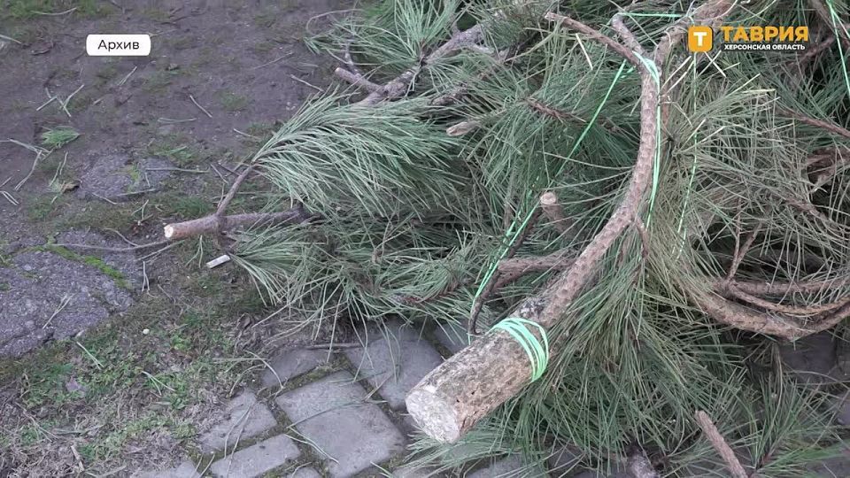 ������������� ����� "���� ���� �� �����������" ���������� � ���������� �������