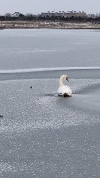 ����������� ������ � ������ ���������� ����� ��������� � ������