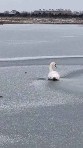 ����������� ������ � ������ ���������� ����� ��������� � ������