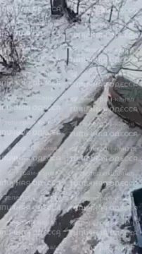 ������: �� ������� 17 ���-����� �������� ������