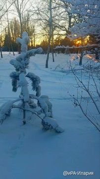 ������ ������ �� ���������