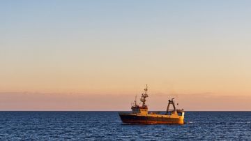 ������ ����������� � �������� � ������ ����� �������� ��������� �� ������ ����