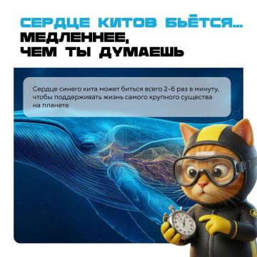 �� �������� ������, ��� ������ � ��� ������