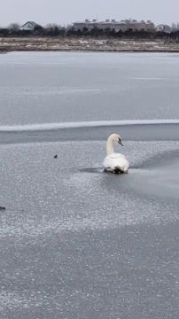 ����������� ������ � ������ ���������� ����� ��������� � ������