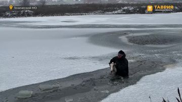 ������������ �������� ������ �������: ����������� ������ � ������ ���������� ����� ������