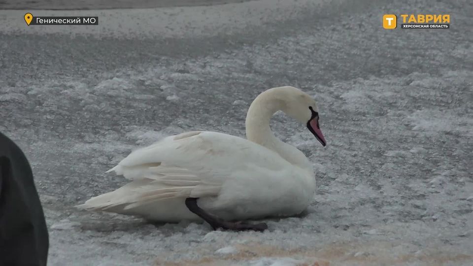 ��������� �� ������� ������� ������ ������������ � ������������ ��� �������