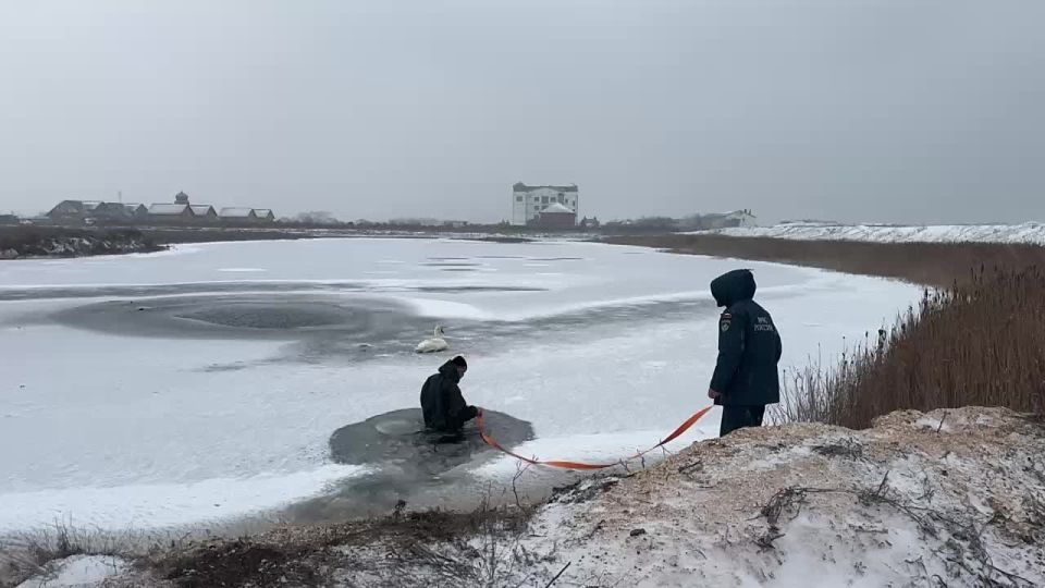 � ���������� ������� ���������� ��� ������ ������ � ������������ ������