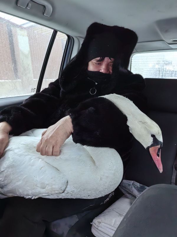 ��������� ������� ������ ������������ ������