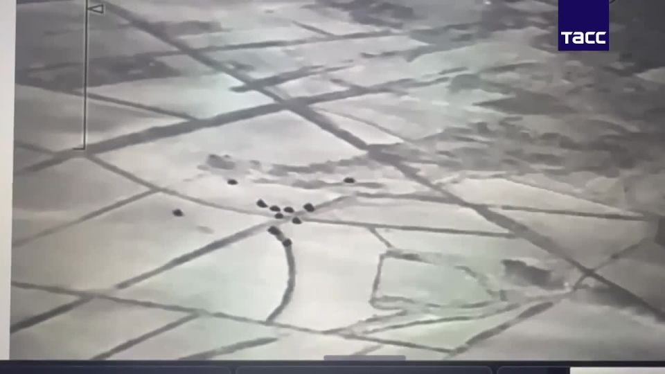 ������ ���������� ������� ��������� ���� ���� "������" ����������� ����� "�����" ��������� ����� ��������� ���������� ��� �� ���������� ����������� � ����������� �������, �������� � ���������� ������