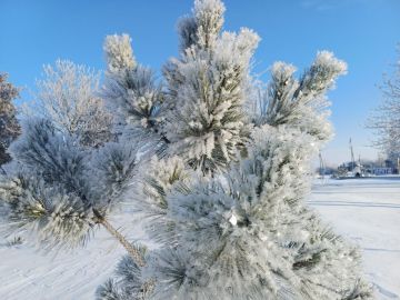 �������� ���� � ������������ ������ �������� �� ���� ������������