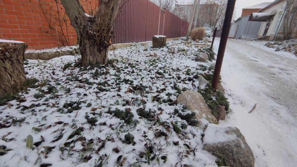 �� ������, ����� ������ ���������