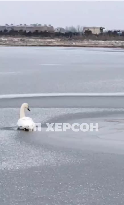 ������ � ������������ ������ ��������� � ��������� ����� �������� ������� ������ ��������, ��� ���������� ����� ��������� ��� ��� ���� �����, �� ��� �� ����� ������� ��� ��������������