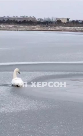 ������ � ������������ ������ ��������� � ��������� ����� �������� ������� ������ ��������, ��� ���������� ����� ��������� ��� ��� ���� �����, �� ��� �� ����� ������� ��� ��������������