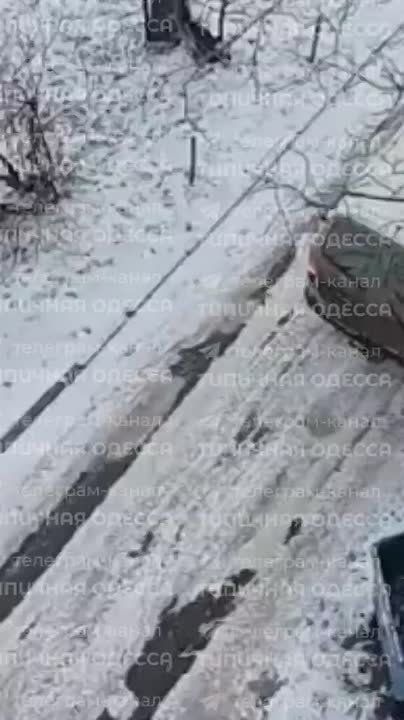 ������: �� ������� 17 ���-����� �������� ������