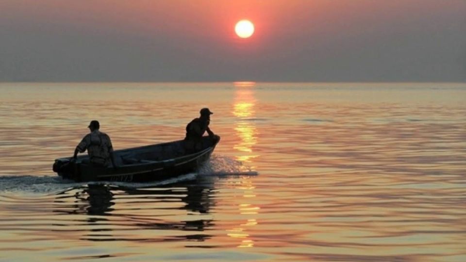 Количество рыб в Азовском море снизилось до исторического минимума