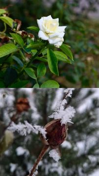 ����������� ����� �������� � ������ ������������ ������ ���������� ��������, ����������� ������ ����! � ���� ������� ���� ���������� ������� ������ ����������� � ������ ��������, ������� ����� � ����������� ������...