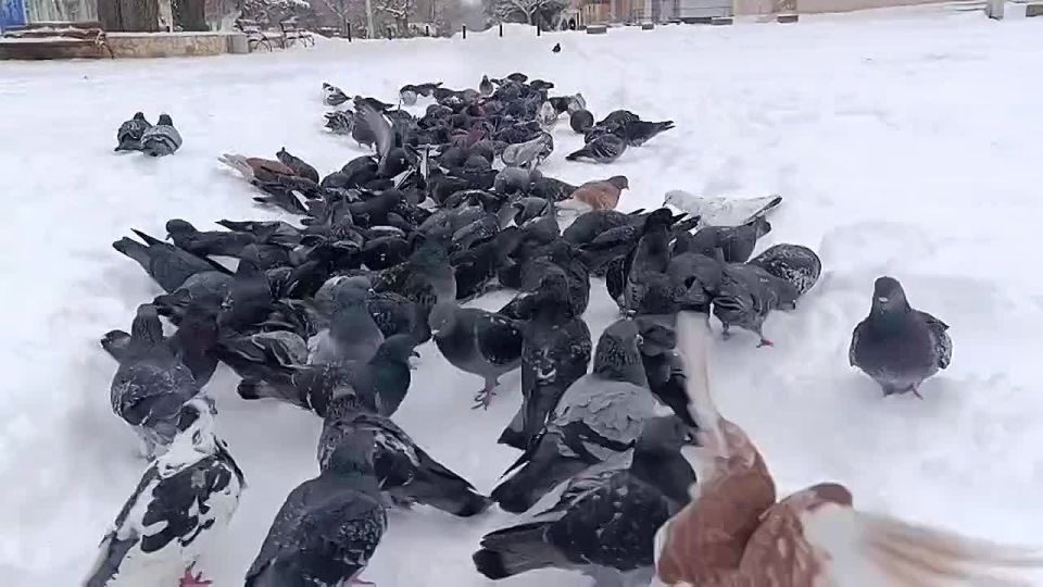 ������� ���������� ����!. ���������� ��������� �� ��������� ������ �, �� �����������, ���� ��������� ���� �� �����