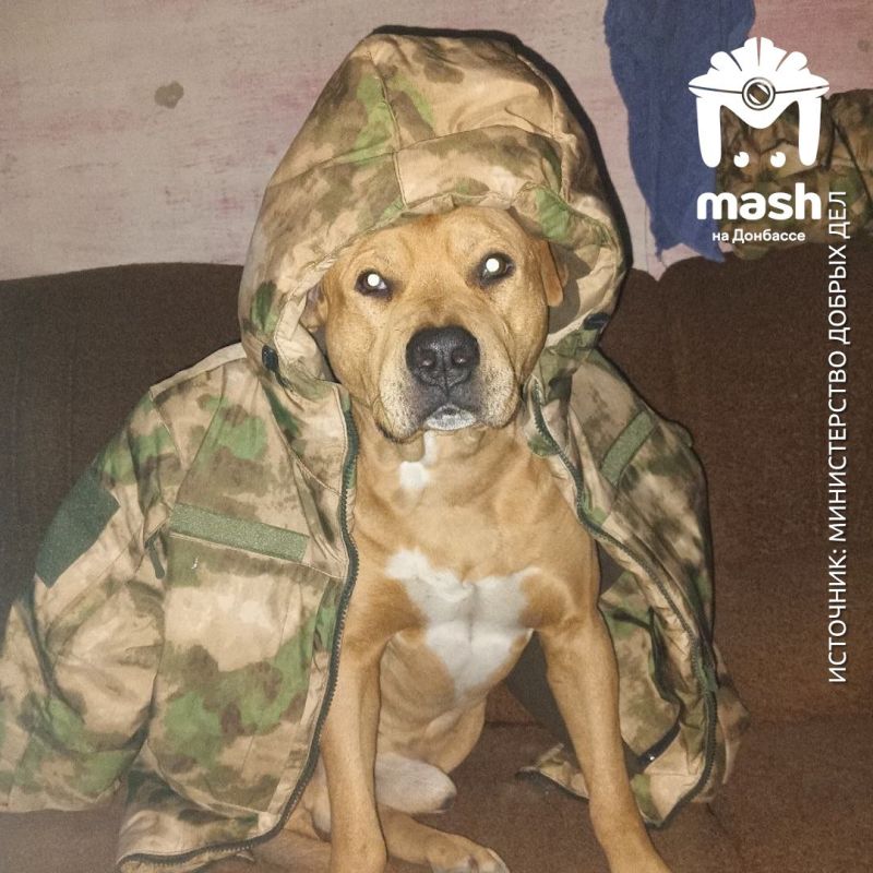 ������� ������������ � ������ ������� � ���������