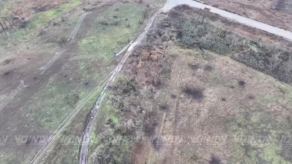 ��������� ���� 38 ������� �������� �� ����� ����� ��� � ����������� �������